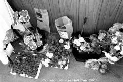 2003 Village Fair