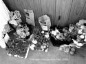 Trimdon Fair 2003 (2)