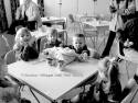 Trimdon Fair 2003 (31)