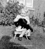 1952 Stephanie Jane Bull