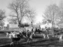 2005 Trimdon Hounds 003