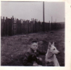 Jim, Beauty and Lassie