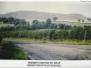 Eddie Pike - Trimdon Grange