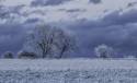 GFord_11April2021_Snow