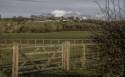 GFord_5Apr2021-17