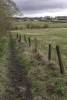 GFord_5Apr2021-3