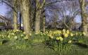 GFord_9Apr2021-10