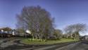 GFord_9Apr2021-17