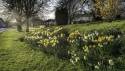 GFord_9Apr2021-3