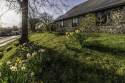 GFord_9Apr2021-4