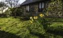 GFord_9Apr2021-5