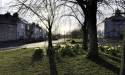 GFord_9Apr2021-9