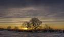 G_Ford_13Jan2021-2