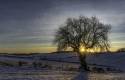 G_Ford_13Jan2021-3