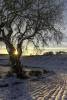 G_Ford_13Jan2021-3