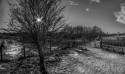 G_Ford_13Jan2021-4