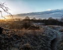 Frosty Path