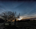 Gate Sunrise