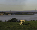 Kelloe law Pano