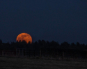 Worm Moon