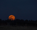 Worm Moon