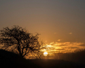 Sun Up