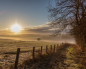 Sunny Path