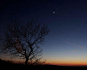 conjunction