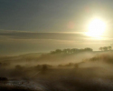 morning-misttt