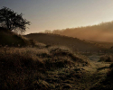 naturereserve19nov2010
