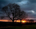 ominous_sunrise