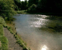 reflections_on_a_summers_day