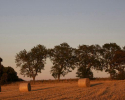 straw-bales