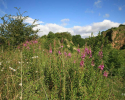 summers_day_in_wingate_quarry