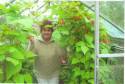 Sal' s green fingers