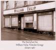 William Tulip