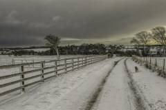 January 2016 Winter Scenes