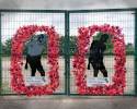 2014/18 Remembrance Displays In Trimdon