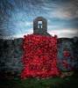 Remembrance display 19
