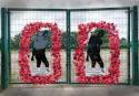 Remembrance display 1