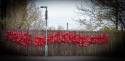 Remembrance display 14