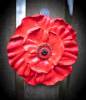 Remembrance display 17