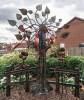Samaritan Tree 17th Sept 2018 (7)