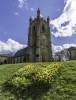 GFord_Sedge_13Apr2021-1