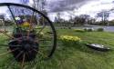 GFord_Sedge_13Apr2021-12