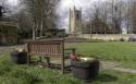 GFord_Sedge_13Apr2021-13