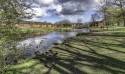 GFord_Sedge_13Apr2021-14