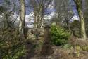 GFord_Sedge_13Apr2021-20