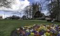 GFord_Sedge_13Apr2021-22