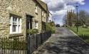 GFord_Sedge_13Apr2021-23